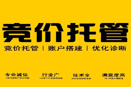 百度竞价行业应用案例：解析及实战操作